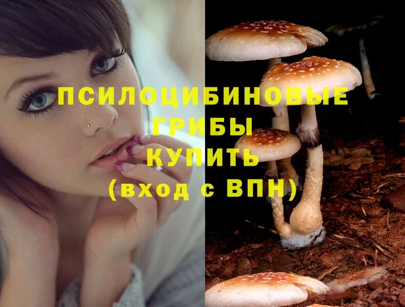 Псилоцибиновые грибы Magic Shrooms  Камбарка 